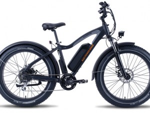Ebike